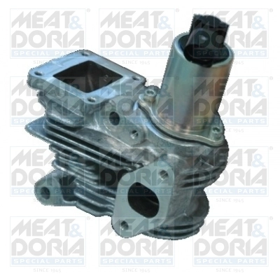 EGR Valve
